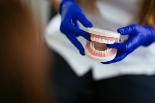 Professional Dental Services in Bonduel, WI